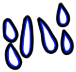 Image of the occurrence